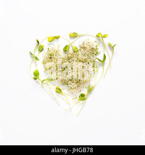 Mini legumes disposés en forme de coeur sur fond blanc. Les pousses de tournesol, luzerne, microgreens. Mise à plat. Nature et aliments sains, l'alimentation, l'eco concept. Banque D'Images