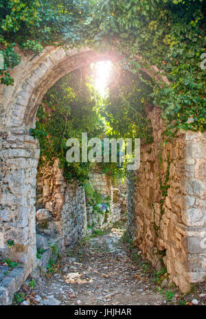 Anciennes ruines couvertes dans les usines de Stari Bar, Monténégro Banque D'Images