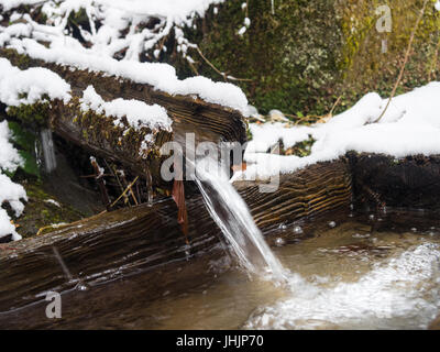 L'arrosage en bois creux alimentée par un flux en hiver. Montagnes Beskides, en Pologne. Banque D'Images