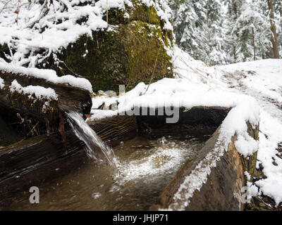 L'arrosage en bois creux alimentée par un flux en hiver. Montagnes Beskides, en Pologne. Banque D'Images