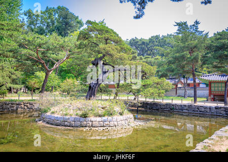Sanctuaire de Jongmyo en saison estivale le 17 juin 2017 dans la ville de Séoul, Corée - site du patrimoine mondial par l'UNESCO Banque D'Images