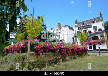 Le White Swan public house sur la Tamise à Twickenham, London Banque D'Images