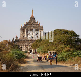 Bagan, Myanmar - Feb 18, 2016. Des voitures à chevaux venant de Thatbyinnyu Temple de Bagan, Myanmar. Bagan est une ville ancienne et l'une des plus importantes Asias ar Banque D'Images