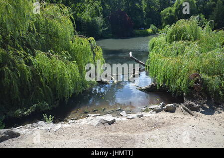 Impressions d'été du jardin zoologique à Berlin du 25 août 2013, Allemagne Banque D'Images