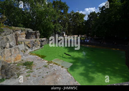 Impressions d'été du jardin zoologique à Berlin du 25 août 2013, Allemagne Banque D'Images