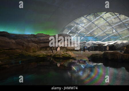 Impressions d'été du jardin zoologique à Berlin du 25 août 2013, Allemagne Banque D'Images