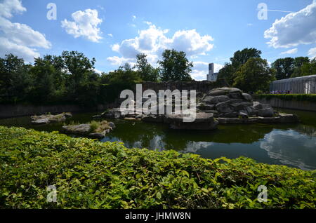 Impressions d'été du jardin zoologique à Berlin du 25 août 2013, Allemagne Banque D'Images