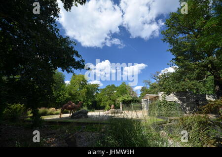 Impressions d'été du jardin zoologique à Berlin du 25 août 2013, Allemagne Banque D'Images