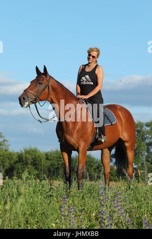Groom fille sur l'équitation à travers soir meadow Banque D'Images