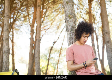 Young man using mobile phone while leaning on tree trunk à forest Banque D'Images