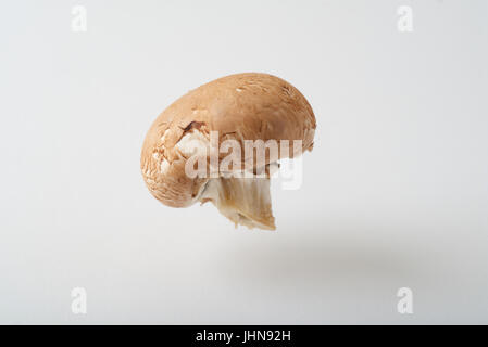 Un champignons cremini comme produire photographié dans un studio, suspendu au-dessus d'un arrière-plan transparent, blanc. Banque D'Images