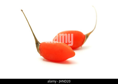 Baies de goji frais sur un fond blanc Banque D'Images