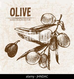 Vecteur numérique ligne détaillées et de l'huile d'olive d'art faites à la main retro illustration collection, Cuisinière Four. Crayon artistique mince contour. Encre Vintage fla Illustration de Vecteur