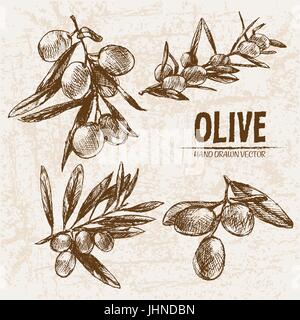 Vecteur numérique ligne détaillées et de l'huile d'olive d'art faites à la main retro illustration collection, Cuisinière Four. Crayon artistique mince contour. Encre Vintage fla Illustration de Vecteur