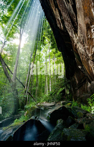 Slick Rock Falls - Pisgah Forest National - près de Brevard, North Carolina, États-Unis Banque D'Images