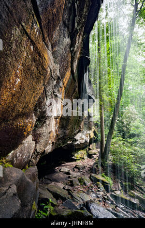 Slick Rock Falls - Pisgah Forest National - près de Brevard, North Carolina, États-Unis Banque D'Images