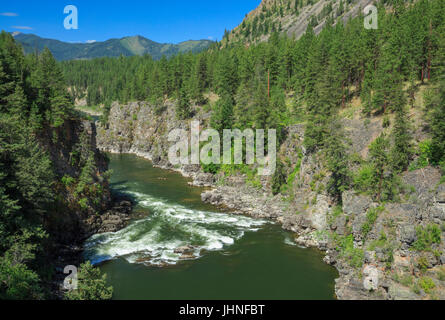 Fang rapides sur la rivière Clark Fork à Alberton, à proximité alberton, Montana Banque D'Images