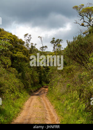 Dirty road à Serra da Bocaina, São Paulo Banque D'Images