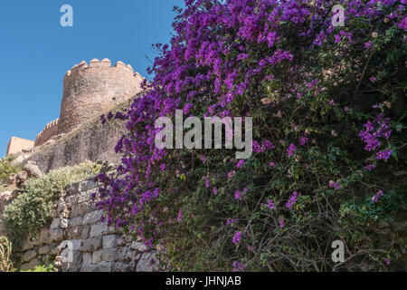 Forteresse Médiéval maure Alcazaba à Almeria, l'accès à la forteresse avec jardins et d'arbres de différentes espèces, Almeria, Andalousie, Espagne Banque D'Images