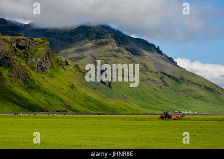 Près de la montagne de volcan Eyjafjallajokull en Islande. Champ vert, bleu ciel, journée ensoleillée et du tracteur dans l'arrière-plan. Banque D'Images