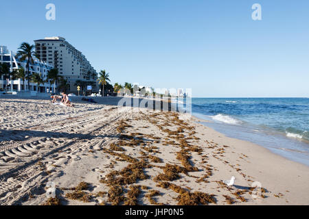 Floride, Ft. Lauderdale, plages, soleil, la vie Banque D'Images