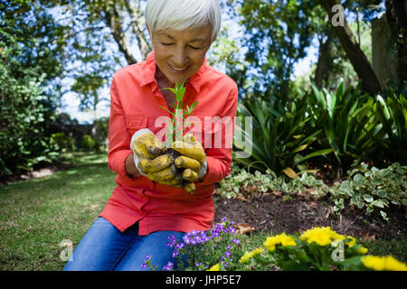 Smiling senior woman planting semis à cour Banque D'Images