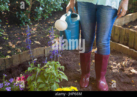 La section basse de senior woman standing avec arrosoir par les plantes sur la terre à l'arrière-cour Banque D'Images