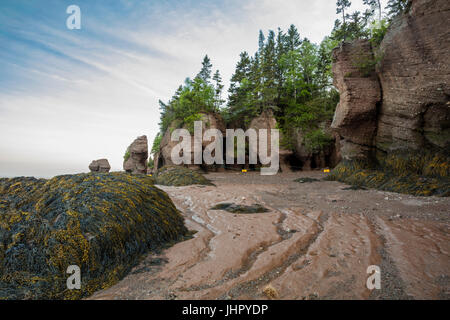 L'icône de nouveau Brunswich Hopewell Rocks. Destination touristique populaire, la baie de Fundy a les plus hautes marées du monde. Banque D'Images