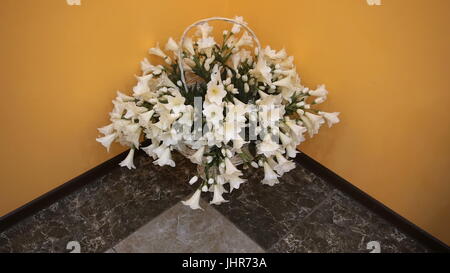 Un panier de belles fleurs blanches debout dans le coin. Banque D'Images