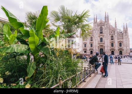 Milan, Italie - Juillet 14th, 2017 : la cathédrale Duomo de Milan avec des palmiers. Les migrants africains et les touristes sont également vu à la piazza Banque D'Images