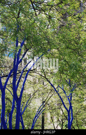 Seattle - parc Westlake, Bleu arbres, Seattle, WA. USA. L'art public, projet de sensibilisation à la déforestation Banque D'Images