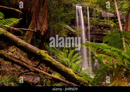 Russell Falls Mount field national park en Tasmanie, Australie. L'une des grandes attractions de la Tasmanie est son environnement originel. Banque D'Images
