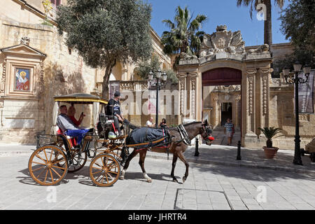 Transport de chevaux en face de Palazzo Vilhena, Musée d'Histoire Naturelle, Mdina, Malte Banque D'Images