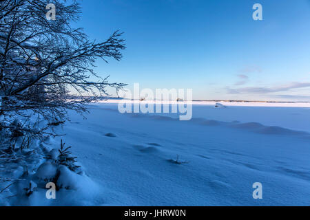 Paysage d'hiver. Le gel. Neige blanche. Banque D'Images