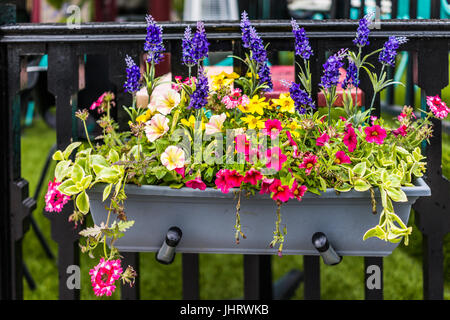 Pots de fleurs suspendus avec libre de couleur rouge vif et blanc calibrachoa fleurs sur rambarde restaurant en pot ou panier Banque D'Images