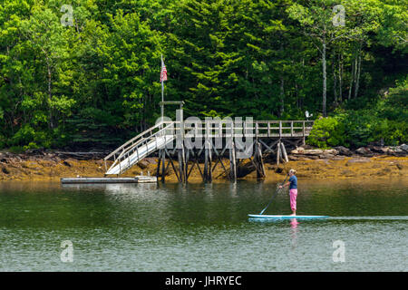 Femme utilisant un paddleboard sur Pemaquid Bay à Bristol, Maine, USA. Banque D'Images