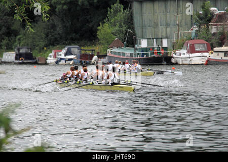 Molesey Boat Club (gagnants, plus proche) mener une deuxième Molesey Boat Club 8. Huit d'élite mixte final. 150e Molesey, 15e Régate Amateur Juillet 2017, Tamise, Hurst Park Riverside, East Molesey, près de Hampton Court, Surrey, Angleterre, Grande-Bretagne, Royaume-Uni, UK, Europe. La compétition annuelle d'aviron amateur et événement social établi en 1867. Crédit : Ian bouteille/Alamy Live News Banque D'Images