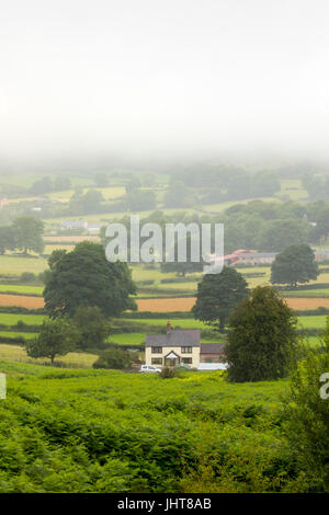 Une brume d'été sur les terres agricoles rurales descend qui entoure Tan-y-Foel cottage dans le village pittoresque de Rhes-y-cae dans Flinthsire, au nord du Pays de Galles Banque D'Images