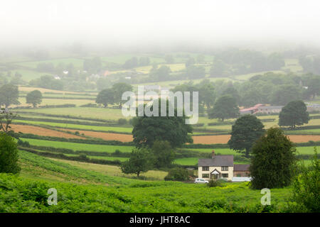 Une brume d'été sur les terres agricoles rurales descend qui entoure Tan-y-Foel cottage dans le village pittoresque de Rhes-y-cae dans Flinthsire, au nord du Pays de Galles Banque D'Images