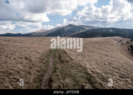 Le printemps à Velka Fatra montagnes en Slovaquie avec prairie de montagne, sentier pédestre, collines avec de petits champs de neige et ciel bleu avec des nuages Banque D'Images