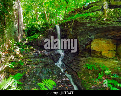 Dans un défrichement des terres forestières, au côté d'un moulin abandonné depuis longtemps, un ruisseau dégringole de hautes roches. Banque D'Images