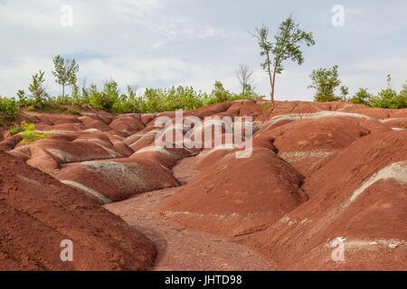 Les Badlands de Cheltenham à Caledon en été, Ontario, Canada, un petit exemple de formation de badlands. Banque D'Images