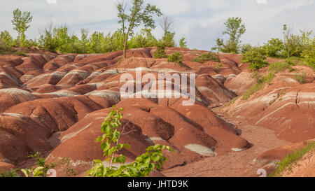 Les Badlands de Cheltenham à Caledon en été, Ontario, Canada, un petit exemple de formation de badlands. Banque D'Images