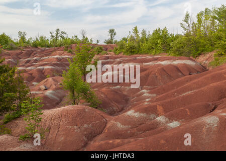 Les Badlands de Cheltenham à Caledon en été, Ontario, Canada, un petit exemple de formation de badlands. Banque D'Images