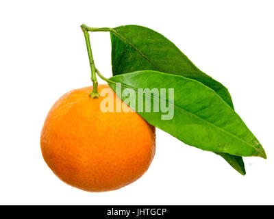 L'orange mandarine (Citrus reticulata), également connu sous le nom de mandarin ou mandarine, isolé, fond blanc. Banque D'Images