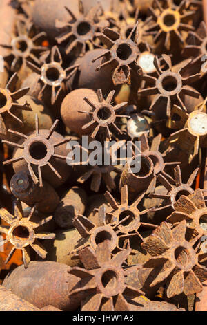 Deadly harvest à gauche plus de la guerre civile laotienne. Des obus de mortier rouille recueillies et des engins explosifs désamorcés par des ingénieurs. Le Laos. Banque D'Images