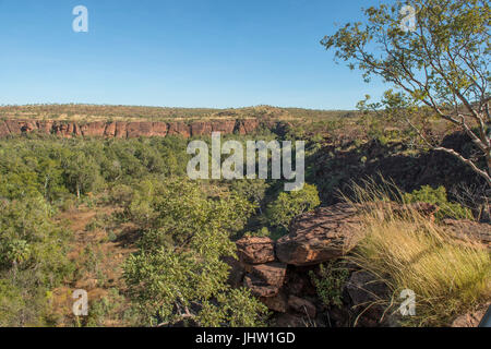 Voir l'Île du Belvédère de la pile, Boodjamulla National Park, Queensland, Australie Banque D'Images