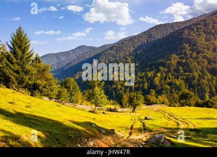 Route de campagne dans les montagnes au lever du soleil. verger derrière la barrière sur un pré Banque D'Images