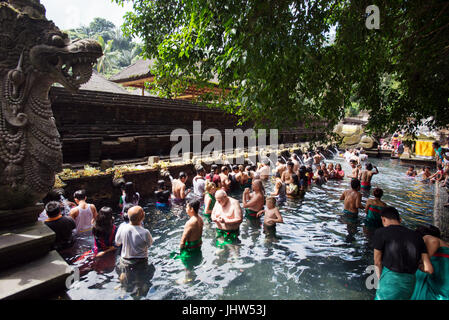 Les balinais dans l'eau de source saint de bassin sacré à Pura Temple Tirta Empul, Tampaksiring, Bali, Indonésie Banque D'Images