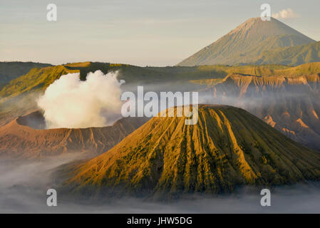 Vue panoramique sur le Mont Bromo et le Mont Semeru volcans actifs au lever du soleil dans l'Est de Java en Indonésie. Banque D'Images